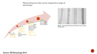 Fiber examination.pptx