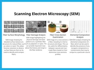 Scanning Electron Microscopy (SEM)
Fiber Surface Morphology
SEM image showing the
detailed surface texture and
structure of a natural fiber, such
as cotton or wool. This allows
forensic scientists to observe
surface features that can be
used to identify and compare
fibers.
Fiber Damage Analysis
SEM image highlighting the
physical damage and wear
patterns on a synthetic fiber,
such as polyester or nylon. This
can provide important clues
about the history and origin of
the fiber evidence.
Fiber Cross-Section
Examination
SEM image of a cross-section of
a fiber, revealing its internal
structure and shape. This can
be useful for differentiating
between natural and man-
made fibers based on their
distinctive cross-sectional
profiles.
Elemental Composition
Analysis
SEM-EDX analysis showing the
elemental composition of a
fiber, which can be used to
identify the presence of any
inorganic components or
contaminants that may be
unique to a particular source.
 