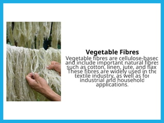 Vegetable Fibres
Vegetable fibres are cellulose-based
and include important natural fibres
such as cotton, linen, jute, and flax.
These fibres are widely used in the
textile industry, as well as for
industrial and household
applications.
 
