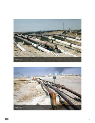 148
Yellow Box
Yellow Box
 