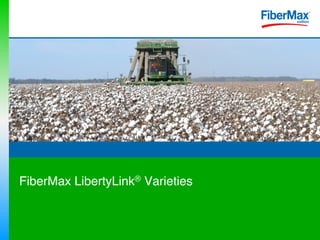 FiberMax LibertyLink® Varieties 
"
 