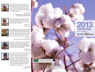 FiberMax and Stoneville - South Texas Cotton Varieties 2013