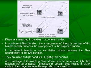 Fiberoptic | PPT