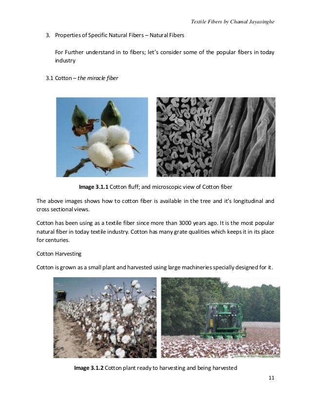 Fiber Science Basics