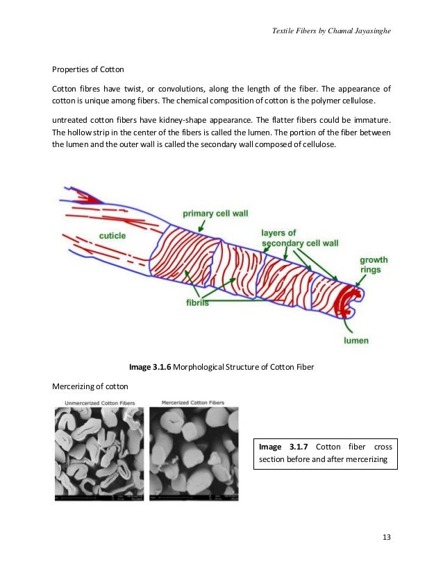 Fiber Science Basics
