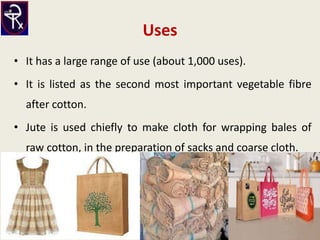 What Are The Many Uses of Jute Fibers?