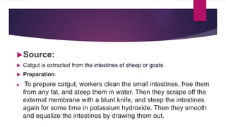 Source:
 Catgut is extracted from the intestines of sheep or goats.
 Preparation:
 To prepare catgut, workers clean the small intestines, free them
from any fat, and steep them in water. Then they scrape off the
external membrane with a blunt knife, and steep the intestines
again for some time in potassium hydroxide. Then they smooth
and equalize the intestines by drawing them out.
 