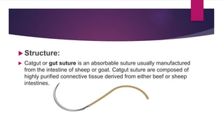  Structure:
 Catgut or gut suture is an absorbable suture usually manufactured
from the intestine of sheep or goat. Catgut suture are composed of
highly purified connective tissue derived from either beef or sheep
intestines.
 