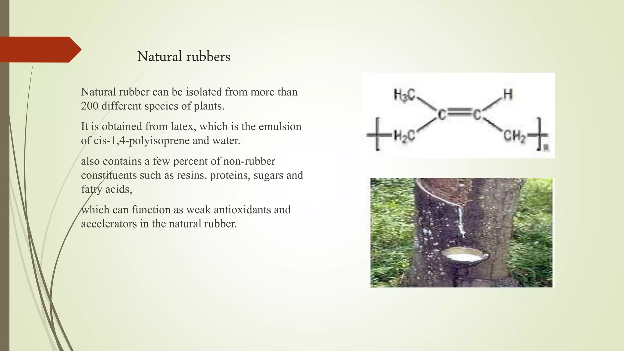 Natural rubbers
Natural rubber can be isolated from more than
200 different species of plants.
It is obtained from latex, which is the emulsion
of cis-1,4-polyisoprene and water.
also contains a few percent of non-rubber
constituents such as resins, proteins, sugars and
fatty acids,
which can function as weak antioxidants and
accelerators in the natural rubber.
 