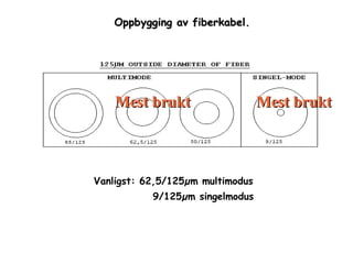 Fiberteori | ODP
