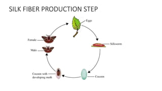 SILK FIBER PRODUCTION STEP
 