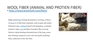 WOOL FIBER (ANIMAL AND PROTIEN FIBER)
• https://www.woolmark.com/fibre/
wool, animal fibre forming the protective covering, or fleece,
of sheep or of other hairy mammals, such as goats and camels.
Prehistoric man, clothing himself with sheepskins, eventually
learned to make yarn and fabric from their fibre covering.
Selective sheep breeding eliminated most of the long, coarse
hairs forming a protective outer coat, leaving the insulating
fleecy undercoat of soft, fine fibre.
 