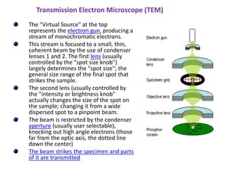The "Virtual Source" at the top
represents the electron gun, producing a
stream of monochromatic electrons.
This stream is focused to a small, thin,
coherent beam by the use of condenser
lenses 1 and 2. The first lens (usually
controlled by the "spot size knob")
largely determines the "spot size"; the
general size range of the final spot that
strikes the sample.
The second lens (usually controlled by
the "intensity or brightness knob"
actually changes the size of the spot on
the sample; changing it from a wide
dispersed spot to a pinpoint beam.
The beam is restricted by the condenser
aperture (usually user selectable),
knocking out high angle electrons (those
far from the optic axis, the dotted line
down the center)
The beam strikes the specimen and parts
of it are transmitted
Transmission Electron Microscope (TEM)
 