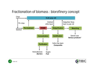 Fractionation of biomass : biorefinery concept

FuBio JR2

 