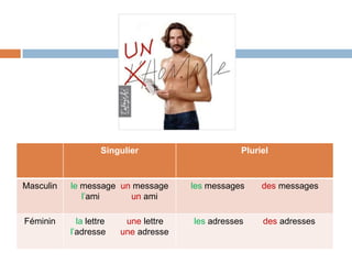 Singulier                     Pluriel



Masculin   le message un message       les messages    des messages
              l’ami     un ami

Féminin      la lettre    une lettre   les adresses    des adresses
           l’adresse     une adresse
 
