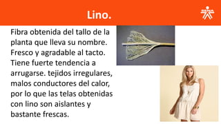 Lino.
Fibra obtenida del tallo de la
planta que lleva su nombre.
Fresco y agradable al tacto.
Tiene fuerte tendencia a
arrugarse. tejidos irregulares,
malos conductores del calor,
por lo que las telas obtenidas
con lino son aislantes y
bastante frescas.
 