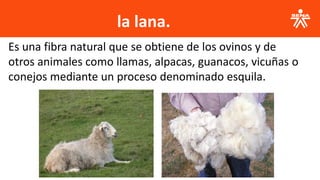 la lana.
Es una fibra natural que se obtiene de los ovinos y de
otros animales como llamas, alpacas, guanacos, vicuñas o
conejos mediante un proceso denominado esquila.
 