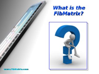 What is theWhat is the
FibMatrix?FibMatrix?
www.FibMatrix.comwww.FibMatrix.com
 