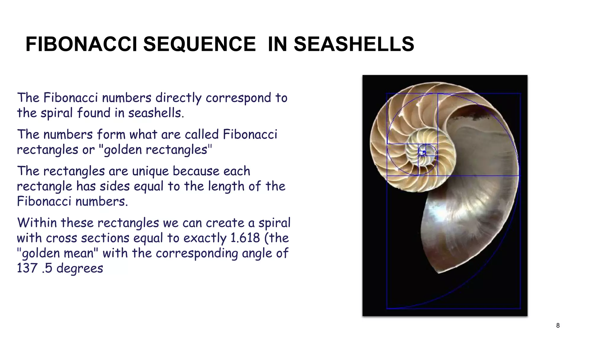 Fibonaaci sequence.pptx | Chemistry | Science
