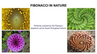 FIBONACCI IN NATURE
5
Patterns created by the Fibonacci
sequence can be found throughout nature.
 