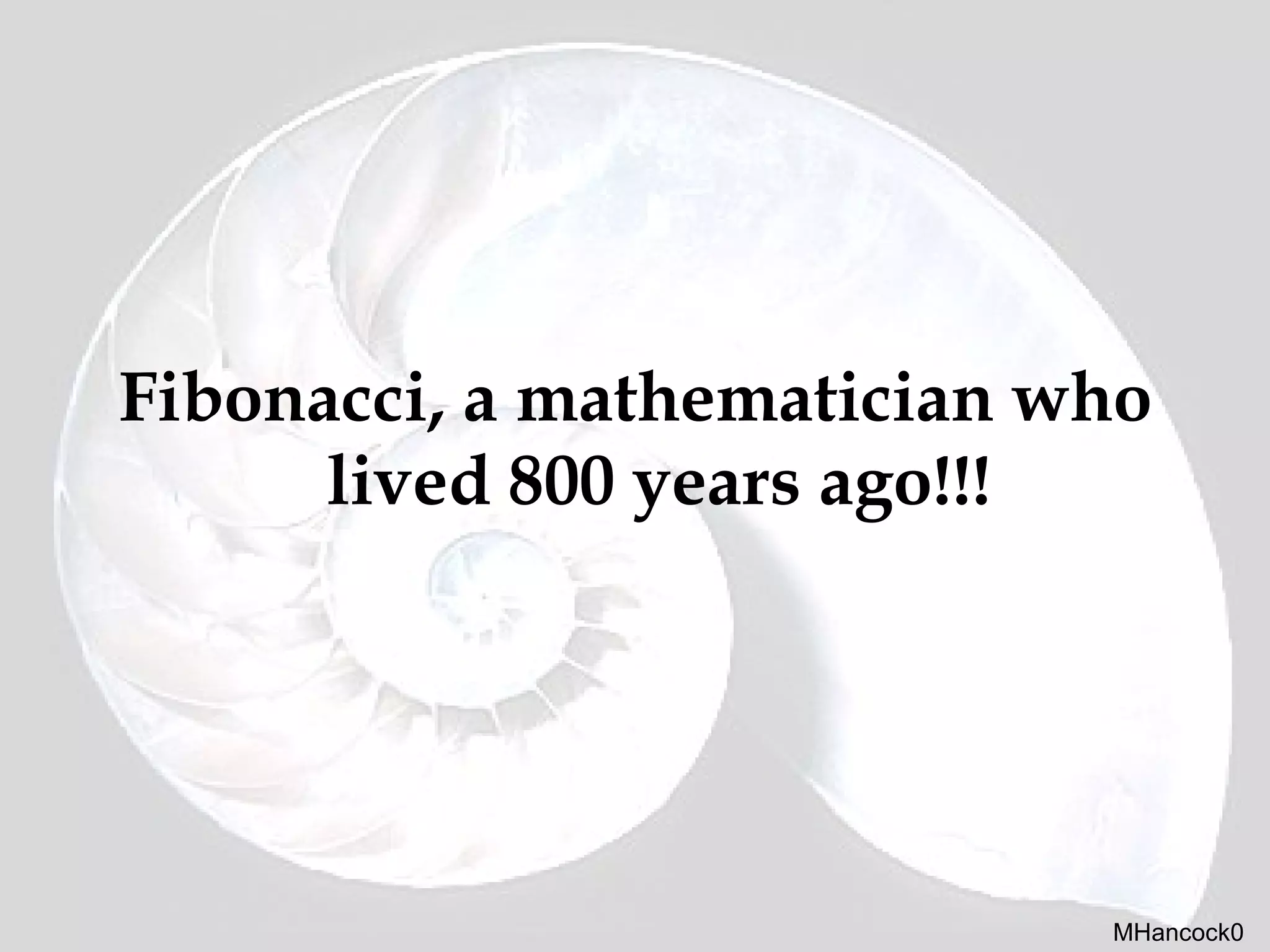 Fibonacci | PPT
