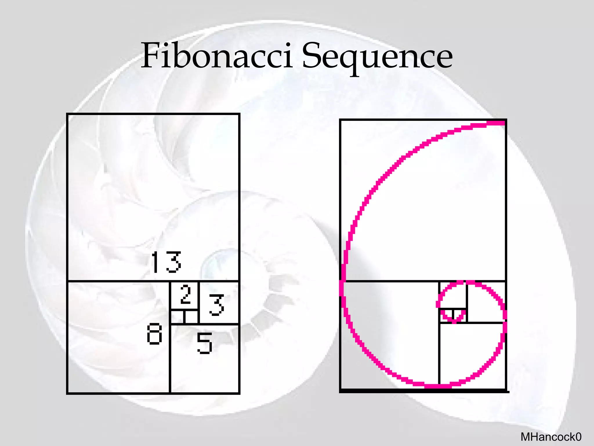 Fibonacci | PPT