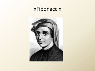 «Fibonacci»