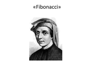 «Fibonacci»