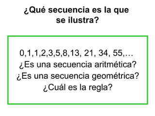 ¿Qué secuencia es la que  se ilustra? 0,1,1,2,3,5,8,13, 21, 34, 55,…  ¿Es una secuencia aritmética? ¿Es una secuencia geométrica? ¿Cuál es la regla? 