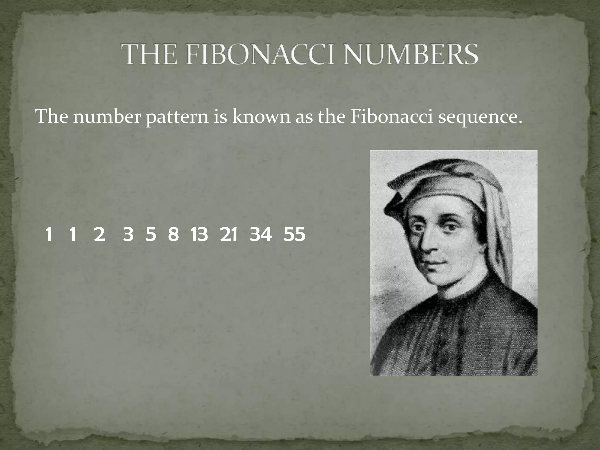Fibonacci | PPT