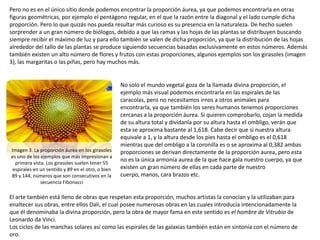Pero no es en el único sitio donde podemos encontrar la proporción áurea, ya que podemos encontrarla en otras
figuras geom...