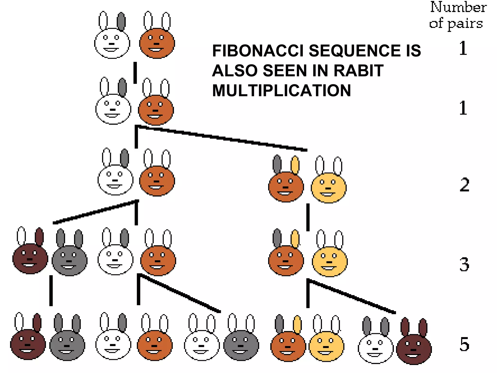 Fibonacci Sequence | PPT