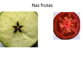 Nas frutas
 