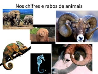 Nos chifres e rabos de animais
 