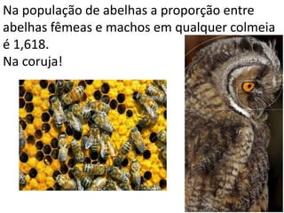 Na população de abelhas a proporção entre
abelhas fêmeas e machos em qualquer colmeia
é 1,618.
Na coruja!
 