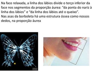Na face relaxada, a linha dos lábios divide o terço inferior da
face nos segmentos da proporção áurea: “da ponta do nariz à
linha dos lábios” e “da linha dos lábios até o queixo”.
Nas asas da borboleta há uma estrutura óssea como nossos
dedos, na proporção áurea
 