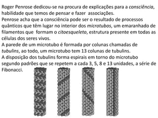 Roger Penrose dedicou-se na procura de explicações para a consciência,
habilidade que temos de pensar e fazer associações.
Penrose acha que a consciência pode ser o resultado de processos
quânticos que têm lugar no interior dos microtubos, um emaranhado de
filamentos que formam o citoesqueleto, estrutura presente em todas as
células dos seres vivos.
A parede de um microtubo é formada por colunas chamadas de
tubulins, ao todo, um microtubo tem 13 colunas de tubulins.
A disposição dos tubulins forma espirais em torno do microtubo
segundo padrões que se repetem a cada 3, 5, 8 e 13 unidades, a série de
Fibonacci.
 