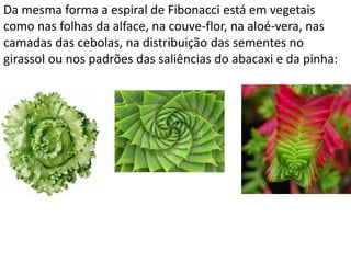 Da mesma forma a espiral de Fibonacci está em vegetais
como nas folhas da alface, na couve-flor, na aloé-vera, nas
camadas das cebolas, na distribuição das sementes no
girassol ou nos padrões das saliências do abacaxi e da pinha:
 