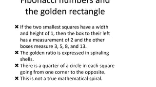 Fibonacci numbers and
the golden rectangle
 If the two smallest squares have a width
and height of 1, then the box to their left
has a measurement of 2 and the other
boxes measure 3, 5, 8, and 13.
 The golden ratio is expressed in spiraling
shells.
 There is a quarter of a circle in each square
going from one corner to the opposite.
 This is not a true mathematical spiral.
 