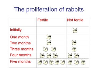 Fertilized Rabbit Fibonacci sequence and ratio of golden. Ppt | PPT