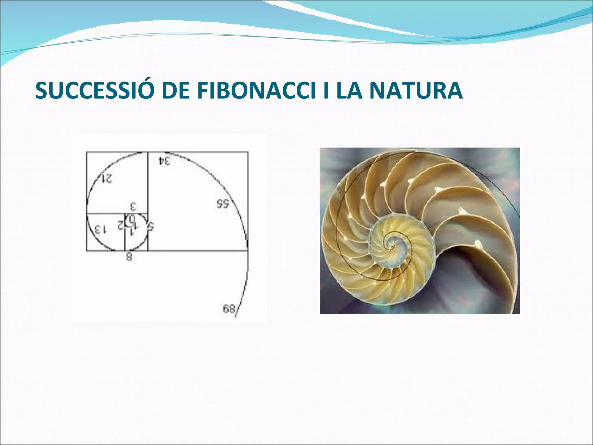 Fibonacci | PPT
