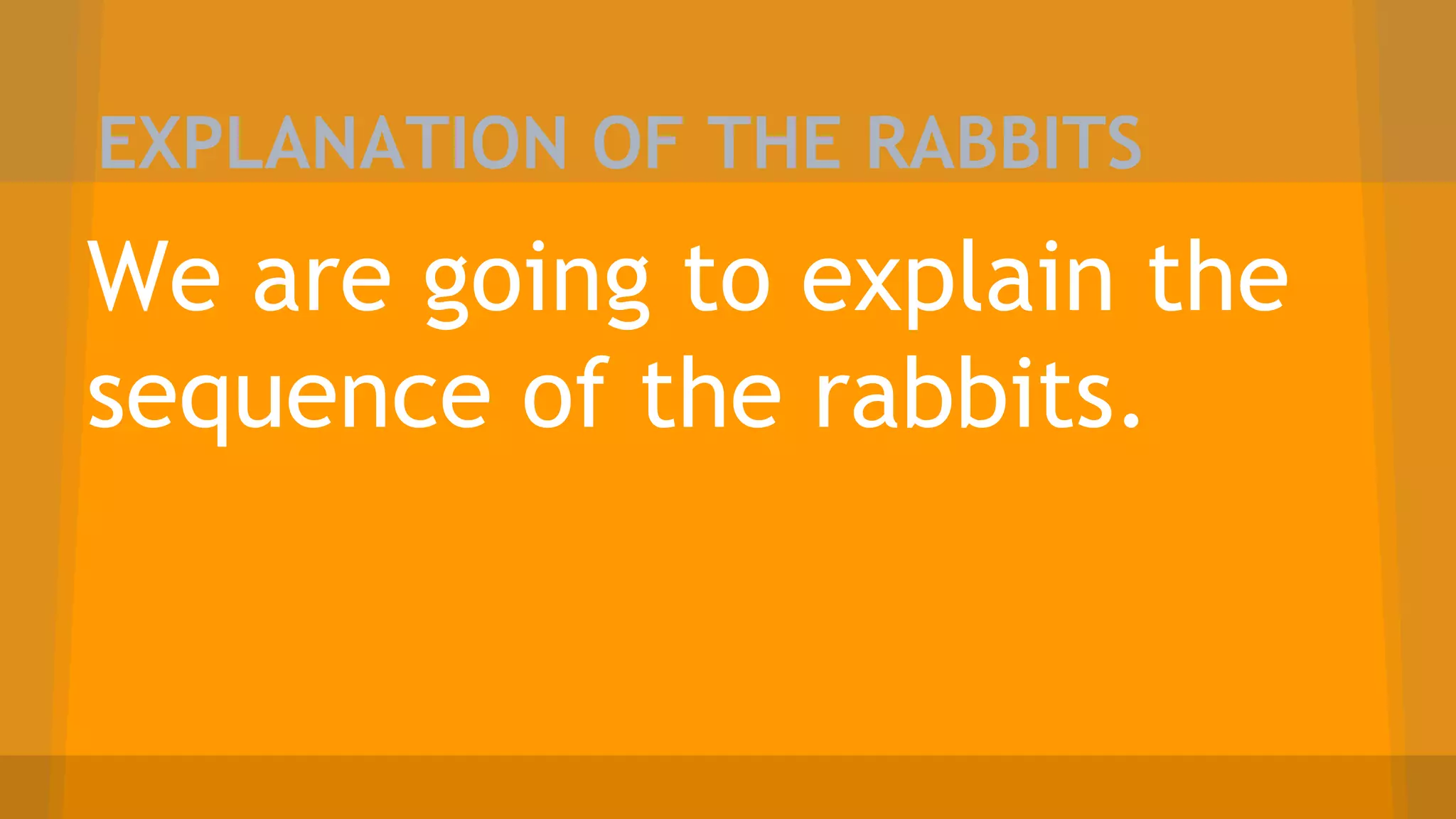 EXPLANATION OF THE RABBITS
We are going to explain the
sequence of the rabbits.
 