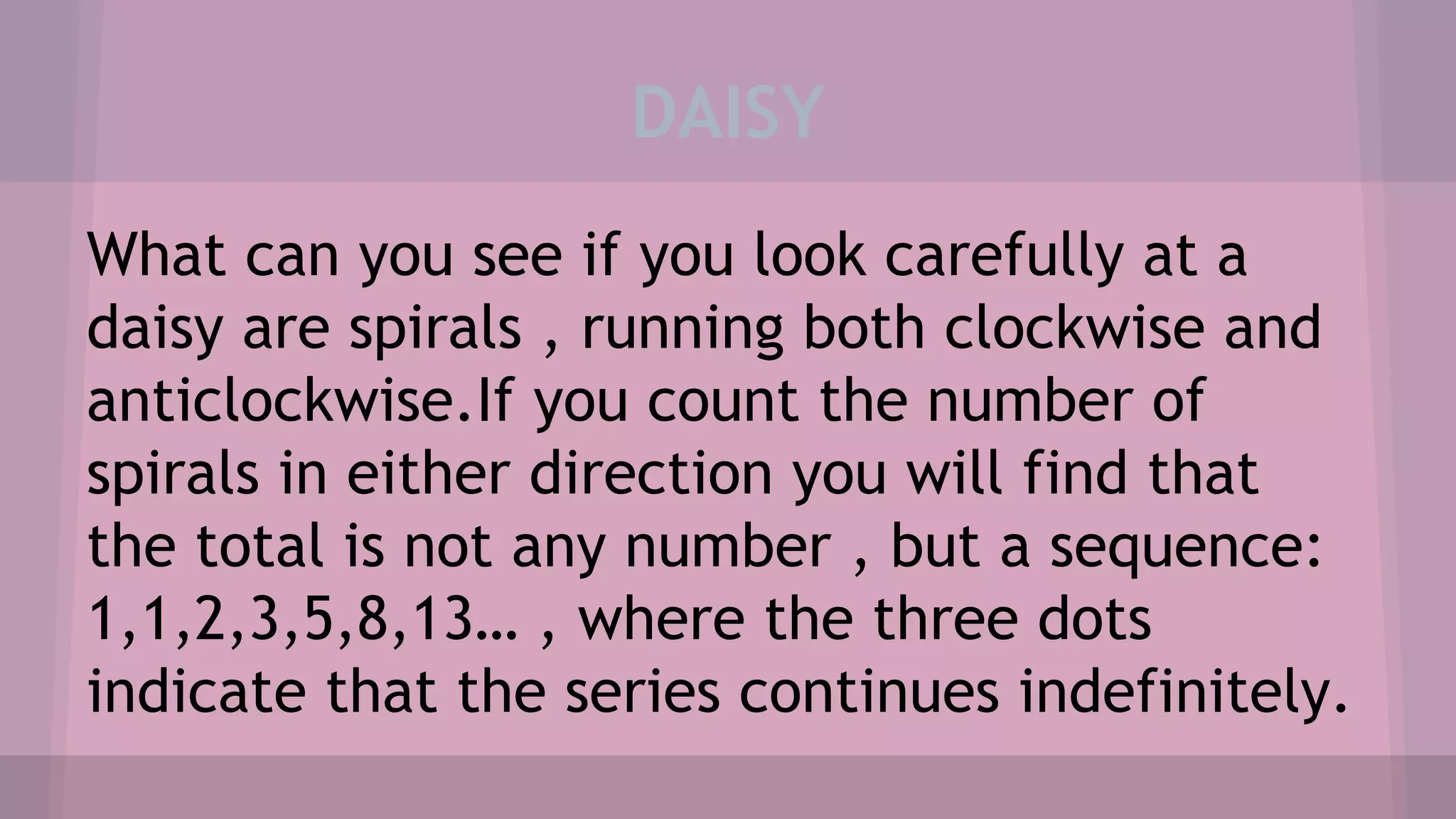 DAISY
What can you see if you look carefully at a
daisy are spirals , running both clockwise and
anticlockwise.If you count the number of
spirals in either direction you will find that
the total is not any number , but a sequence:
1,1,2,3,5,8,13… , where the three dots
indicate that the series continues indefinitely.
 