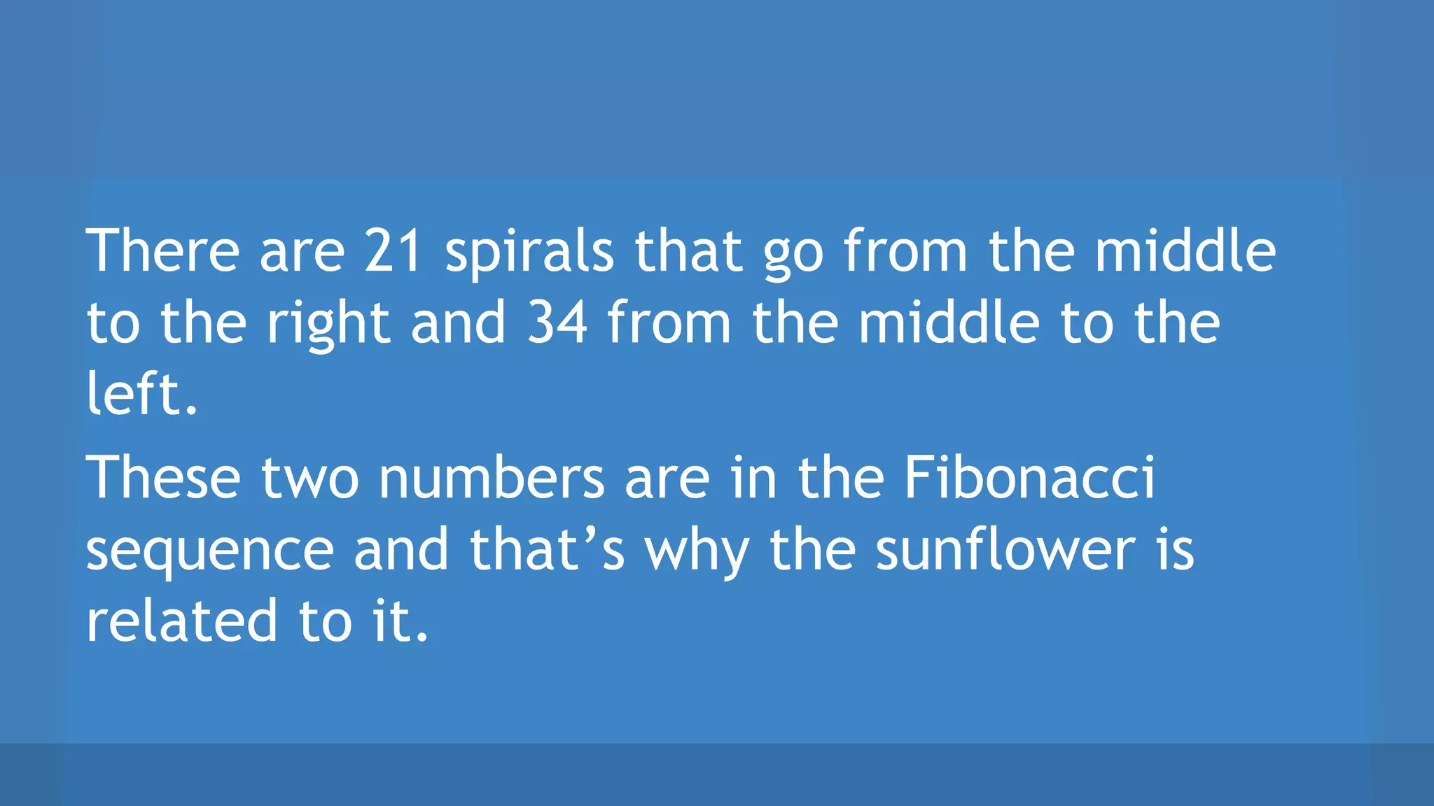There are 21 spirals that go from the middle
to the right and 34 from the middle to the
left.
These two numbers are in the Fibonacci
sequence and that’s why the sunflower is
related to it.
 