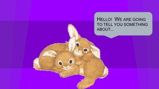 HELLO! WE ARE GOING
TO TELL YOU SOMETHING
ABOUT...
 