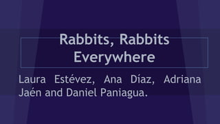 Rabbits, Rabbits
Everywhere
Laura Estévez, Ana Díaz, Adriana
Jaén and Daniel Paniagua.
 
