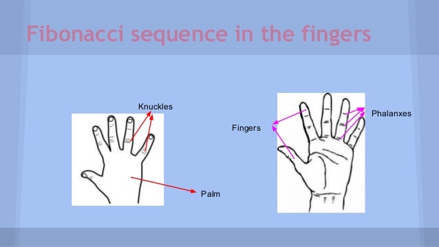 Fibonacci Sequence 4
