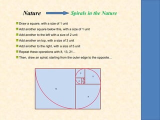 1 1 2 3 5 8 13 Add another square below this, with a size of 1 unit Add another to the left with a size of 2 unit Add another on top, with a size of 3 unit Add another to the right, with a size of 5 unit Repeat these operations with 8, 13, 21... Draw a square, with a size of 1 unit Then, draw an spiral, starting from the outer edge to the opposite… Nature   Spirals in the Nature 