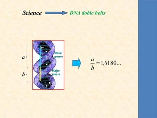 Science   DNA doble helix a b 