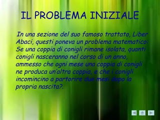 IL PROBLEMA INIZIALE
 In una sezione del suo famoso trattato, Liber
Abaci, questi poneva un problema matematico:
Se una coppia di conigli rimane isolata, quanti
conigli nasceranno nel corso di un anno,
ammesso che ogni mese una coppia di conigli
ne produca un’altra coppia, e che i conigli
incomincino a partorire due mesi dopo la
propria nascita?.
 